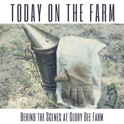 Today on the Farm